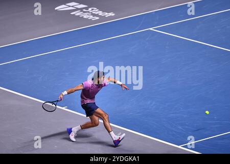 Wien, Wien, Österreich. Oktober 2024. Karen Khachanov, Rückkehr mit Vorhand während der ersten Bank Open - ATP500, Herren Tennis (Credit Image: © Mathias Schulz/ZUMA Press Wire) NUR REDAKTIONELLE VERWENDUNG! Nicht für kommerzielle ZWECKE! Stockfoto