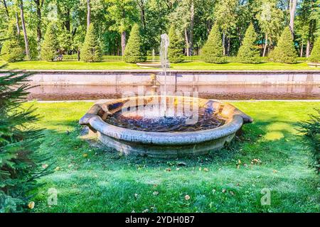 PETERHOF, RUSSLAND - 28. AUGUST: Kleiner Foutain am Meereskanal in Peterhof Gardens, Russland, am 28. August 2016. Schloss Peterhof und Gärten com Stockfoto