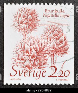 Gestempelte Briefmarke von Schweden, die Nigritella nigra - Black Vanilla Orchidee, um 1985 zeigt. Stockfoto