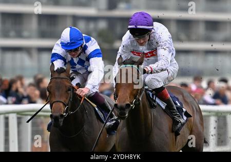 Newbury, Großbritannien, 16.08.2024, Ellaria Sand, geritten von David Egan, gewinnt die Highclere Thoroughbred Racing Stakes 14,00 auf der Newbury Racecourse, Newbury Picture von Paul Blake/Alamy Sports News Stockfoto