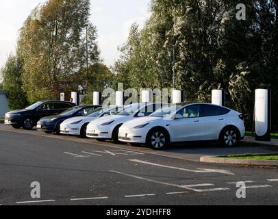 Eine Reihe von Tesla-Autos, die an Tesla-Ladestationen aufgeladen werden Stockfoto