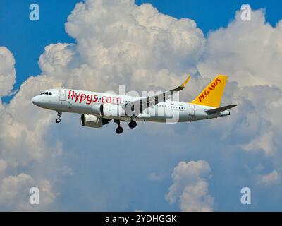 Frankfurt, Hessen, Deutschland - 13. August 2024: Pegasus Airbus A320-251N TC-NBE vom Flughafen Frankfurt Stockfoto