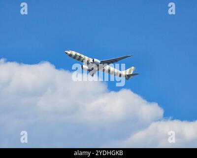 Frankfurt, Hessen, Deutschland - 13. August 2024: Condor Beige Lackierung Airbus A330-941 D-ANRP vom Flughafen Frankfurt Stockfoto