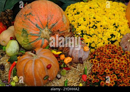 Eine farbenfrohe Herbsternte mit Blumen, Obst und Gemüse, darunter Kürbisse, Kürbis, Kürbis und Paprika. Stockfoto