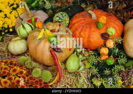 Eine farbenfrohe Herbsternte mit Blumen, Obst und Gemüse, darunter Kürbisse, Kürbisse und Paprika. Stockfoto