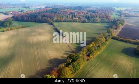 Drohnenblick auf einen Mischwald in Nordeuropa mit hellen Herbstfarben Stockfoto