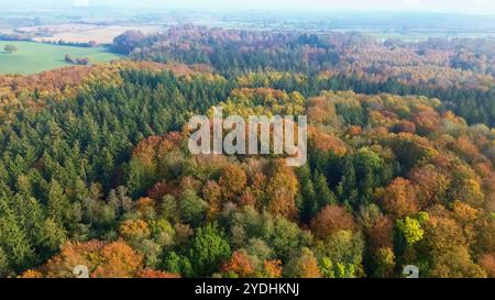 Drohnenblick auf einen Mischwald in Nordeuropa mit hellen Herbstfarben Stockfoto