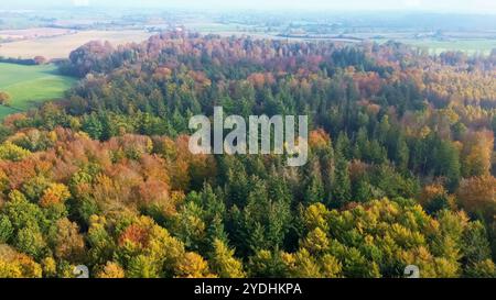 Drohnenblick auf einen Mischwald in Nordeuropa mit hellen Herbstfarben Stockfoto