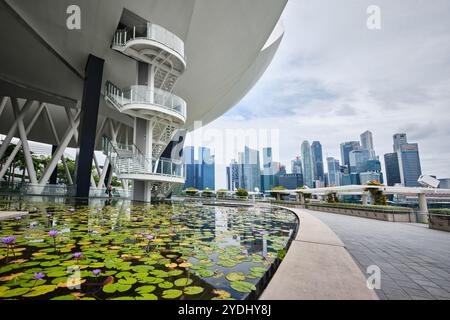 Singapur - 14. August 2024: Lilienteich unter dem Lotusförmigen Kunstwissenschaftsmuseum und der Skyline der Stadt. In der Nähe des Marina Bay Sands Stockfoto