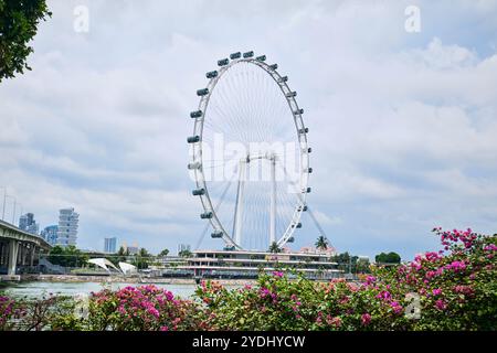 Singapur - 16. August 2024: Das Singapore Flyer Ferris Rad auf der Marina Bay Stockfoto