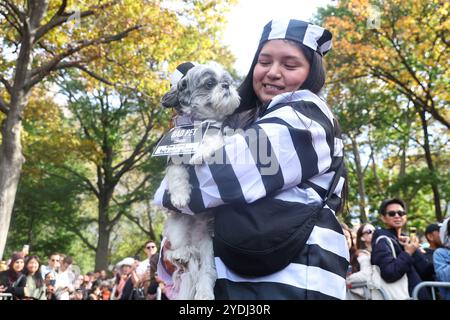 Ein Hund und ein Besitzer sind gekleidet, als alte Gefangene während der Washington Square Park Halloween Dog Parade in New York, New York, am Samstag, 26. Oktober 2024 auf dem roten Teppich laufen. Stockfoto