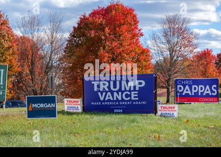 Politische Zeichen für die Präsidentschaftswahlen 2024 an einem sonnigen Herbsttag in New Hampshire Stockfoto