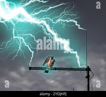 Eine Dachantenne wird vom Blitz getroffen, während eine Taube darauf sitzt Stockfoto