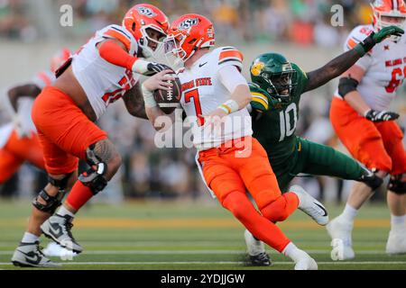 Waco, Texas, USA. Oktober 2024. Der Quarterback ALAN BOWMAN (7) aus Oklahoma State entkommt dem Baylor-Verteidiger STEVE LINTON (10) während seines Spiels im McLane Stadium in Waco am Samstagnachmittag. (Kreditbild: © Brian McLean/ZUMA Press Wire) NUR REDAKTIONELLE VERWENDUNG! Nicht für kommerzielle ZWECKE! Stockfoto