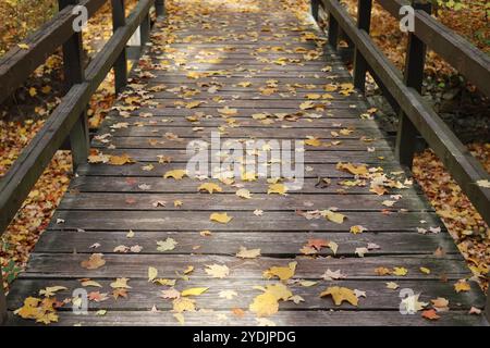 Hölzerne Wanderbrücke mit Herbstlaub in ruhiger Natur Stockfoto