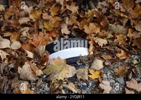 Schwarzes Kunststoffabflussrohr öffnet sich bis zum Herbstlaub im öffentlichen Park Stockfoto