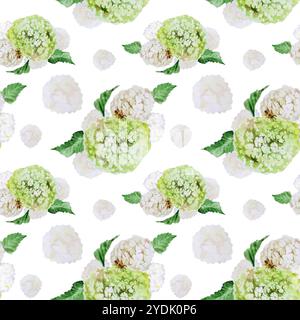Aquarellabbildungen nahtloses Muster mit Zweigen und Blüten aus weißem Viburnum. Handgemaltes Aquarellmuster mit nahtlosem Blumenstrauß Stockfoto