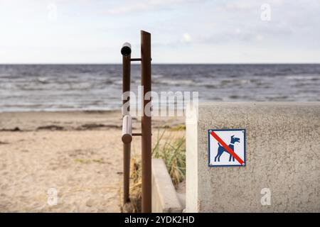 Am öffentlichen Strand gibt es kein Schild mit Hunden Stockfoto