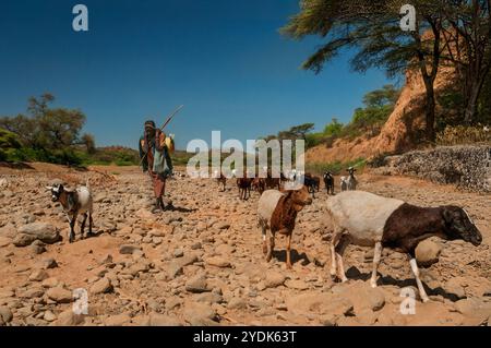 Pokot-Stammeshirten mit ihren Tieren in Nordkenia, Afrika Stockfoto