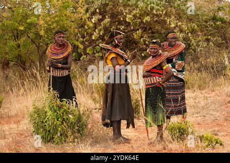 Pokot-Stammesfrauen mit charakteristischen Ornamenten, bestehend aus Kragen aus bunten Perlen. Nordkenia, Afrika Stockfoto