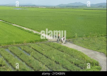 07.08.2012, Nordkorea, Asien, Eine Szene in der nordkoreanischen Provinz während der Zugfahrt von der Grenzstadt Sinuiju in die Hauptstadt Pjöngjang Stockfoto