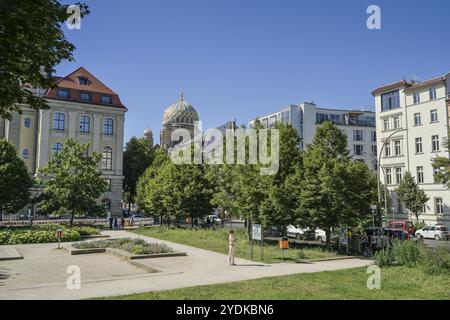 Monbijoupark, Monbijouplatz, Oranienburger Straße, Mitte, Berlin, Deutschland, Europa Stockfoto