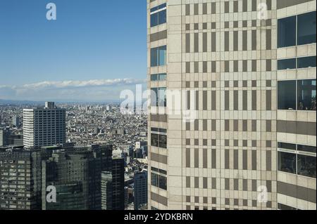 01.01.2018, Tokio, Japan, Asien, Ein Blick von oben vom Tokyo Metropolitan Government Building über das endlose Meer von Gebäuden in der japanischen Region Stockfoto