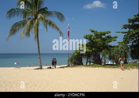 16.11.2019, Phuket, Thailand, Asien, Urlauber unter einer Palme am Karon Beach, ein beliebtes Reiseziel für russische Touristen, Asien Stockfoto