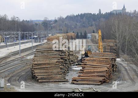 Im Bahnhof Salo werden große Holzstapel gelagert, die auf den Güterzug warten. Salo, Finnland. 31. März 2024 Stockfoto