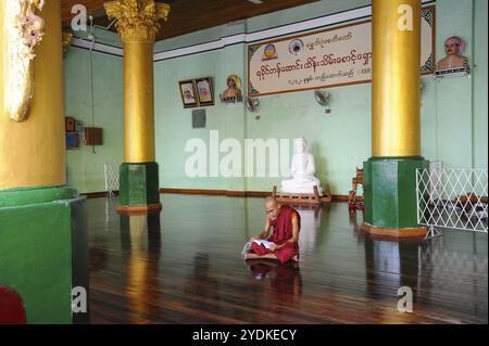 10.08.2013, Yangon, Myanmar, Asien, Ein buddhistischer Mönch sitzt auf dem Boden im Tempelbereich der Shwedagon-Pagode und liest, Asien Stockfoto