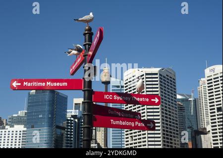 18.09.2018, Sydney, New South Wales, Australien, Blick auf die Skyline von Sydneys Geschäftsviertel vom Darling Harbour, Ozeanien Stockfoto