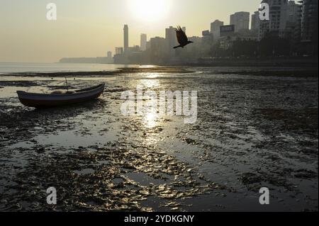 12.12.2011, Mumbai, Maharashtra, Indien, Asien, Sonnenuntergang am Chowpatty Beach mit der Silhouette der Skyline von Malabar Hill im Hintergrund, Asien Stockfoto