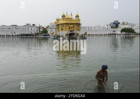 22.07.2011, Amritsar, Punjab, Indien, Ein frommer Sikh badet im Weihwasserbecken (Amrit Sarover) des Goldenen Tempels, dem höchsten Heiligtum der S Stockfoto