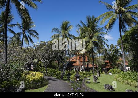 19.07.2023, Nusa Dua, Benoa, Bali, Indonesien, Asien, Garten mit Palmen im Grand Hyatt Bali Hotelkomplex in Nusa Dua an der südlichen Spitze der Th Stockfoto