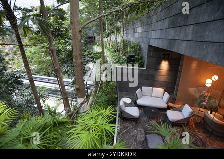 18.04.2019, Singapur, Republik Singapur, Asien, Terrasse der Changi Lounge mit Blick auf das Forest Valley im neuen Jewel Terminal in Changi Inte Stockfoto