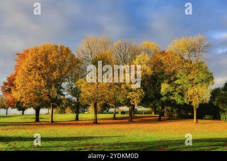 Lebhaftes Herbstlaub im Park an einem schönen, sonnigen Herbstmorgen. Oktober 2020 Stockfoto