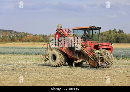 Laucherntemaschine in Lauch, Allium ampeloprasum, Feld an einem sonnigen Herbsttag. Salo, Finnland. Oktober 2020 Stockfoto