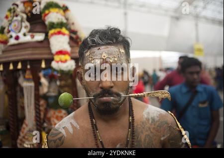 31/01/2018, Singapur, Republik Singapur, Asien, die Wangen Eines hinduistischen Mannes werden mit einem Metallspieß durchstochen, während er sich auf das Thaipusam festi vorbereitet Stockfoto