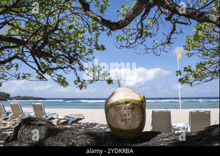 17.07.2023, Nusa Dua, Benoa, Bali, Indonesien, Asien, frische Kokosnuss des Grand Hyatt Bali am Strand von Nusa Dua mit Blick auf das Meer und den Sand Stockfoto