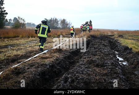 Großübung der Bundeswehr-Feuerwehr. Einsatzkräfte bauen eine Riegelstellung im Moor auf. Die Bundeswehr-Feuerwehr Meppen hat gemeinsam mit zwölf Anrainerfeuerwehren sowie Kräften des örtlichen Technischen Hilfswerks und des Deutschen Roten Kreuzes eine Großübung auf dem Gelände der Wehrtechnischen Dienststelle für Waffen und Munition WTD 91 in Meppen durchgefüht. Meppen Niedersachsen Deutschland *** große Übung der Bundeswehr Feuerwehr errichtete eine Barrikade im Moor die Bundeswehr in Meppen, zusammen mit zwölf benachbarten Feuerwehren und Stockfoto