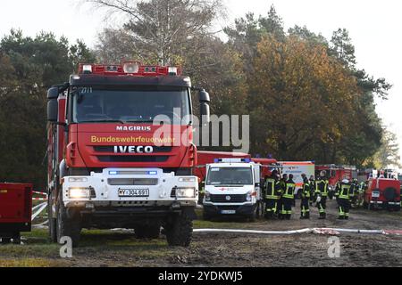 Großübung der Bundeswehr-Feuerwehr. Zahlreiche Einsatzkräfte stehen am Rande der Einsatzübung. Die Bundeswehr-Feuerwehr Meppen hat gemeinsam mit zwölf Anrainerfeuerwehren sowie Kräften des örtlichen Technischen Hilfswerks und des Deutschen Roten Kreuzes eine Großübung auf dem Gelände der Wehrtechnischen Dienststelle für Waffen und Munition WTD 91 in Meppen durchgefüht. Meppen Niedersachsen Deutschland *** große Übung der Bundeswehr Feuerwehr zahlreiche Rettungsdienste am Rande der Übung die Bundeswehr in Meppen, zusammen mit zwölf Stockfoto