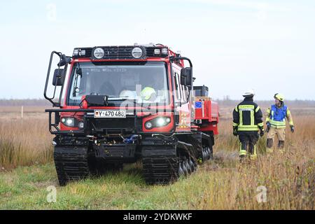 Großübung der Bundeswehr-Feuerwehr. Eine Löschraupe der Bundeswehr-Feuerwehr steht im Moor. Die Bundeswehr-Feuerwehr Meppen hat gemeinsam mit zwölf Anrainerfeuerwehren sowie Kräften des örtlichen Technischen Hilfswerks und des Deutschen Roten Kreuzes eine Großübung auf dem Gelände der Wehrtechnischen Dienststelle für Waffen und Munition WTD 91 in Meppen durchgefüht. Meppen Niedersachsen Deutschland *** Großübung der Bundeswehr Feuerwehr Eine raupe der Bundeswehr Feuerwehr steht im Moor der Bundeswehr Feuerwehr Meppen zusammen Stockfoto