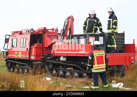 Großübung der Bundeswehr-Feuerwehr. Eine Löschraupe der Bundeswehr-Feuerwehr steht im Moor. Die Bundeswehr-Feuerwehr Meppen hat gemeinsam mit zwölf Anrainerfeuerwehren sowie Kräften des örtlichen Technischen Hilfswerks und des Deutschen Roten Kreuzes eine Großübung auf dem Gelände der Wehrtechnischen Dienststelle für Waffen und Munition WTD 91 in Meppen durchgefüht. Meppen Niedersachsen Deutschland *** Großübung der Bundeswehr Feuerwehr Eine raupe der Bundeswehr Feuerwehr steht im Moor der Bundeswehr Feuerwehr Meppen zusammen Stockfoto