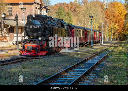 Alexisbad, Deutschland 25. Oktober 2024: Letzte Fotos vor der Einstellung des Verkehrs auf der Selketalbahn. Für rund einen Monat wird der Verkehr eingestellt. Die Lok 99 7243-1 fährt als Ersatz für die abgestellten Dampflok 99 6001. Hier im Bahnhof Alexisbad vor der Weiterfahrt nach Harzgerode. Sachsen-Anhalt *** Alexisbad, Deutschland 25. Oktober 2024 letzte Fotos bevor der Verkehr auf der Selketalbahn für etwa einen Monat eingestellt wird, wird der Verkehr eingestellt die Lok 99 7243 1 fährt als Ersatz für die abgestellte Dampflok 99 6001 hier am Bahnhof Alexisbad vor der Weiterfahrt nach Harzg Stockfoto