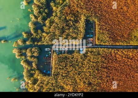 Schilfbildung am Balaton aus der Vogelperspektive. Stockfoto
