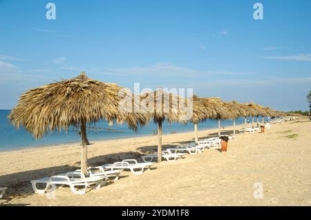 Viele Sonnenschirme aus Palmblättern am exotischen Strand varadero Kuba Stockfoto