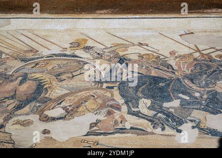 Abschnitt eines Mosaiks im Haus des Faun, Pompeji, Italien, der Darius III. Von Persien zeigt, wie er versucht, seinen Wagen gegen Alexander den Großen zu drehen. Stockfoto