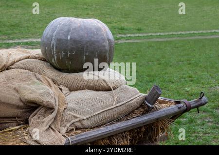 Grüner Kürbis liegt auf Säcken und Heu. Grüne Wiese und Pfad im Hintergrund. Stockfoto