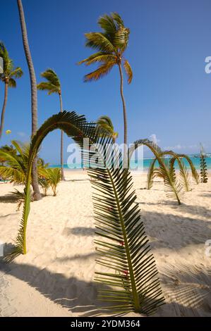 Hochzeit-Torbogen am tropischen Strand. Stockfoto