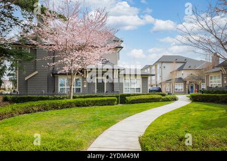 Neue moderne Apartmentgebäude in Vancouver BC. Kanadische moderne Wohnhäuser mit Weg und einsamen. Einfamilienhäuser. Mietobjekte. Vancouver B Stockfoto